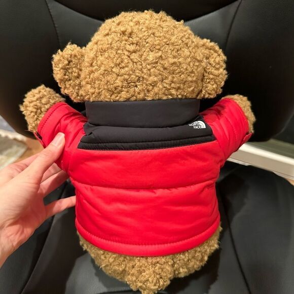 NWT The North Face Teddy Bear 30th Anniversary Red Nupste Jacket Very Rare - Picture 5 of 10
